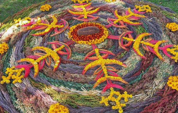 Tarptautinis floristinių kilimų konkursas „Kurortinis desertas“
