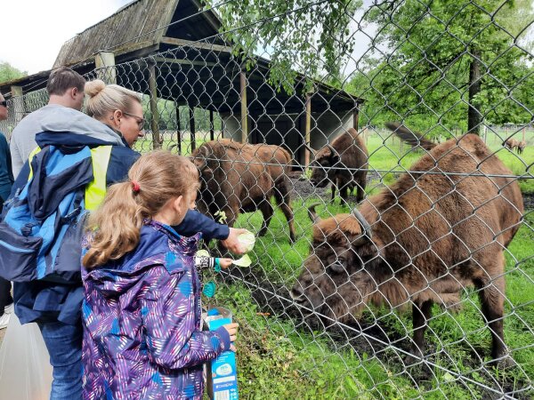 Vaikų stovykla mūsų mažiesiems draugams iš Ukrainos