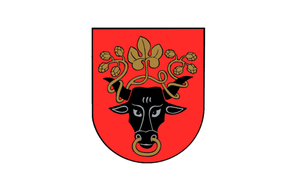 Informacija apie komitetų posėdžius