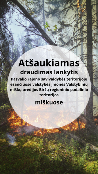 Vėl galima lankytis miškuose