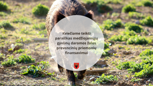 Kviečiame teikti paraiškas medžiojamųjų gyvūnų daromos žalos prevencinių priemonių finansavimui 