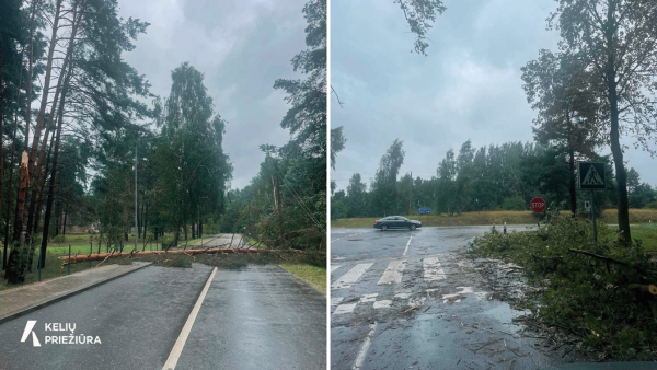Kelininkai tęsia darbus siaučiant audrai – šalinami šimtai kritusių medžių