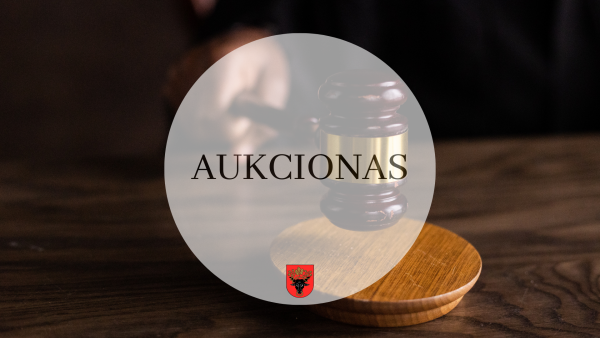 Nekilnojamojo turto viešas aukcionas