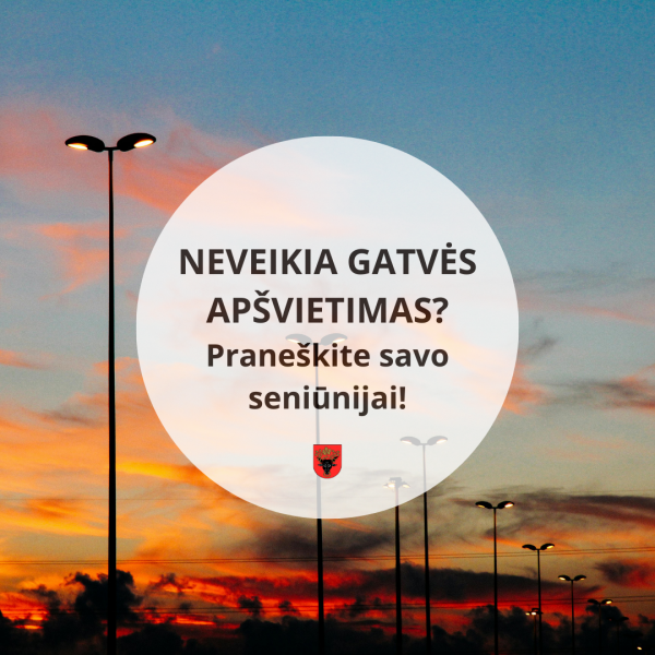 Neveikia gatvės apšvietimas? Kreipkitės tiesiai į seniūniją