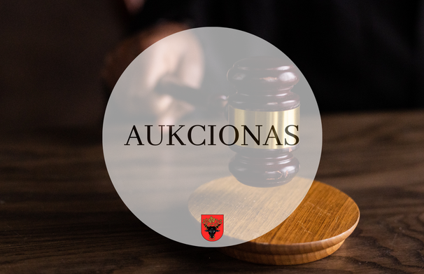 Nekilnojamojo turto viešas aukcionas