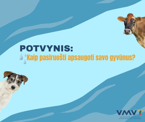 VMVT atmintinė gyvūnų laikytojams: pasitikrinkite, ar esate saugioje nuo potvynių zonoje