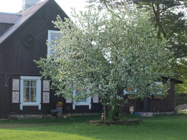 Skelbiamas etnokultūrinės kaimo turizmo sodybos konkursas 2026