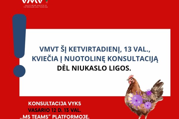 Kviečiame į VMVT nuotolinę konsultaciją dėl Niukaslo ligos