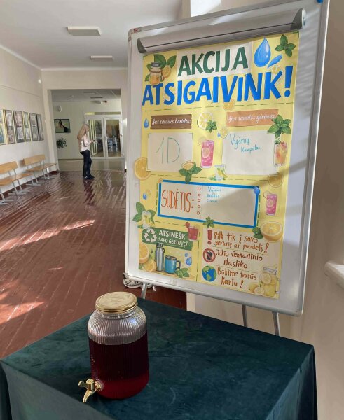 Paaiškėjo tvarumo lyderės švietime: 25 Lietuvos mokyklos žengia priekyje