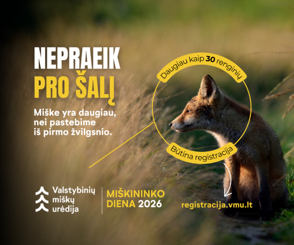Miškininko dienų renginiai